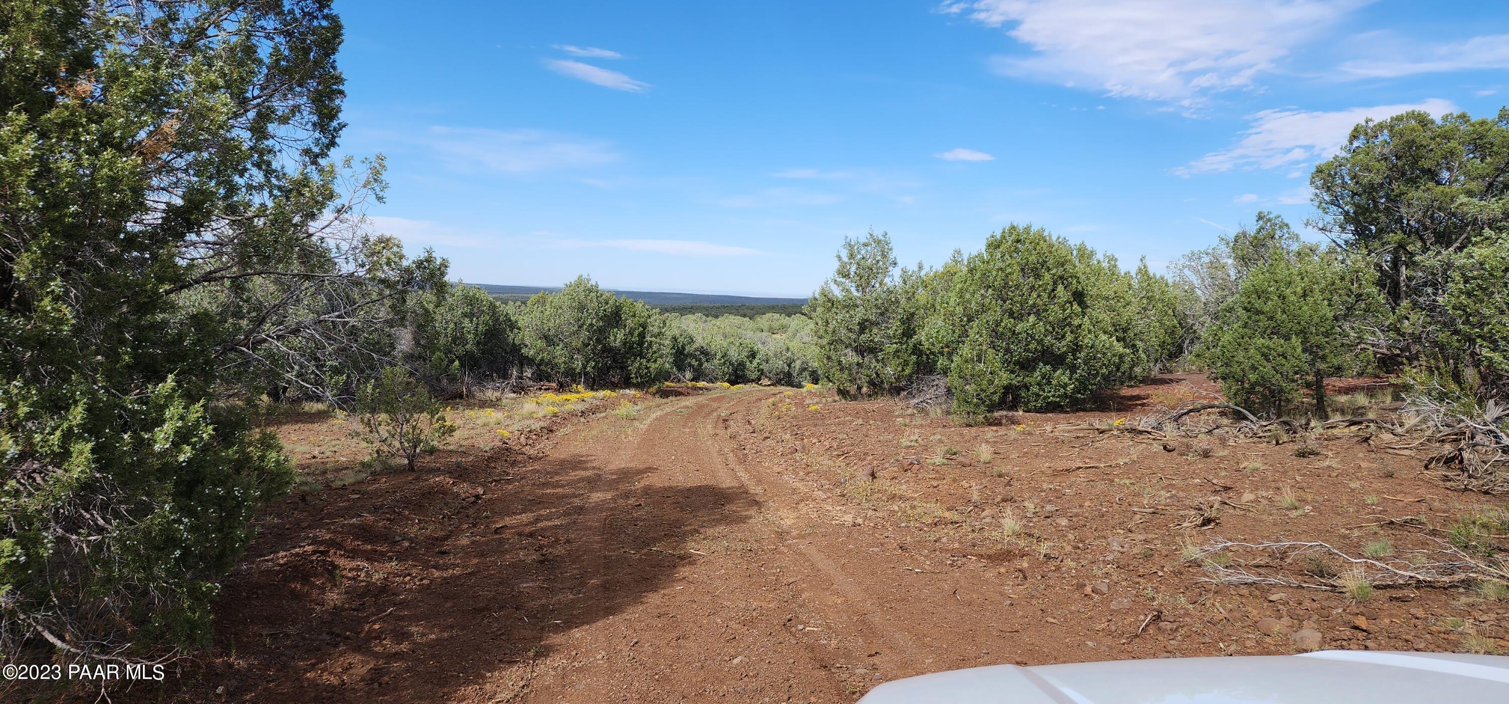 912 Westwood Ranch Williams, AZ 86046 - Photo 16 of 28 a view of a dry yard with trees