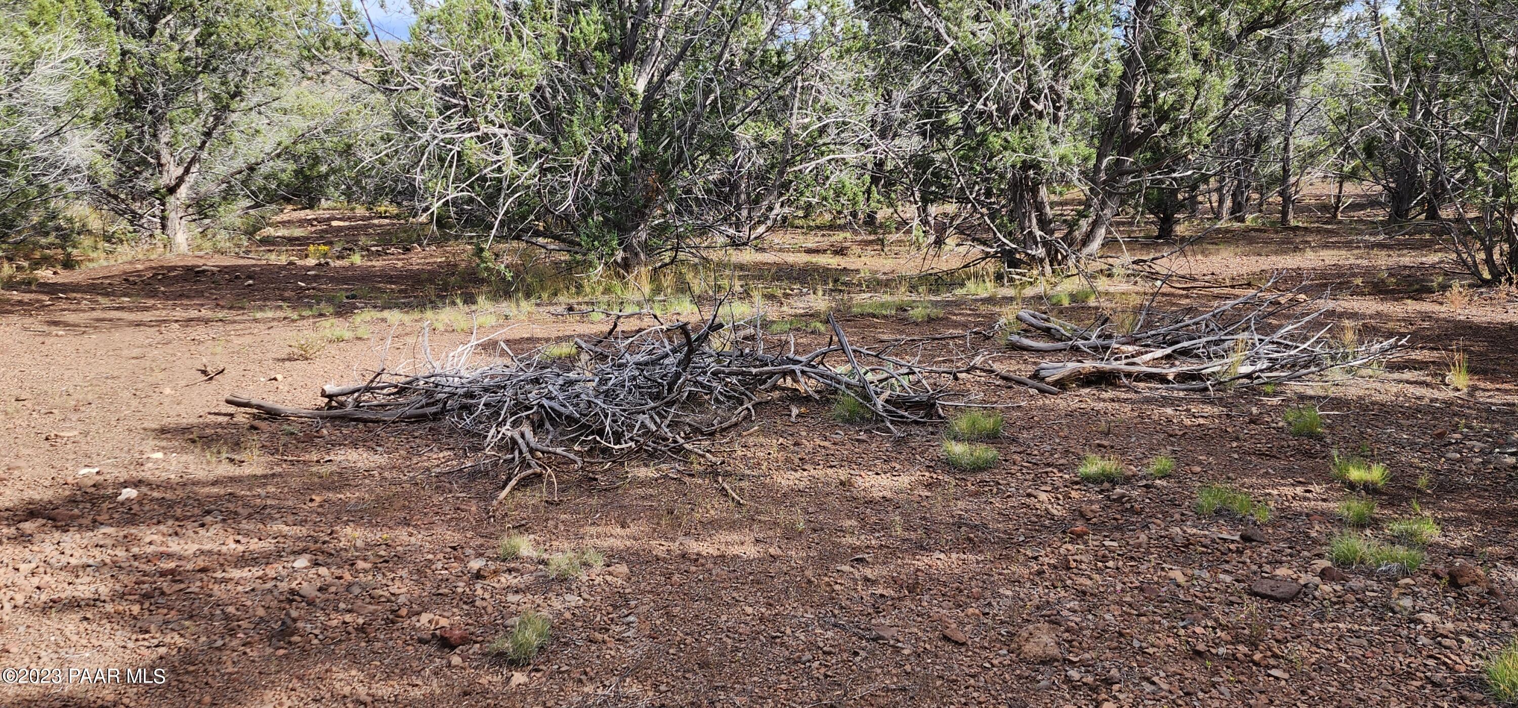 912 Westwood Ranch Williams, AZ 86046 - Photo 21 of 28 a view of a yard with plants and trees