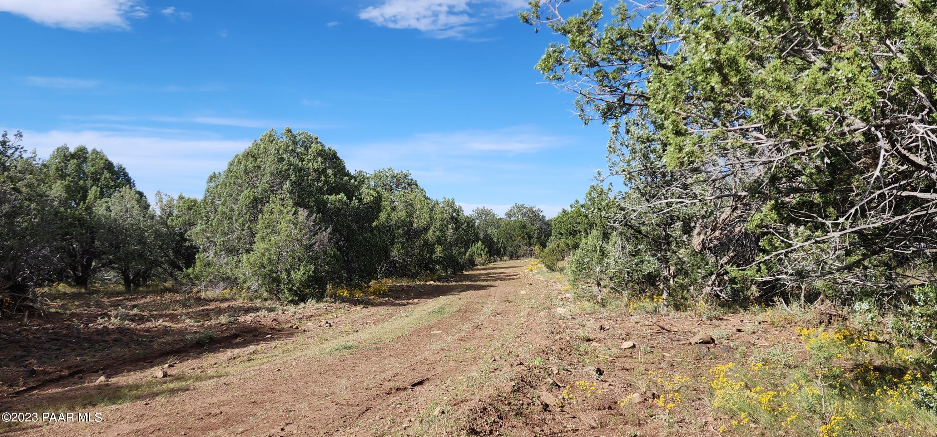912 Westwood Ranch Williams, AZ 86046 - Photo 22 of 28 a view of a yard with a tree