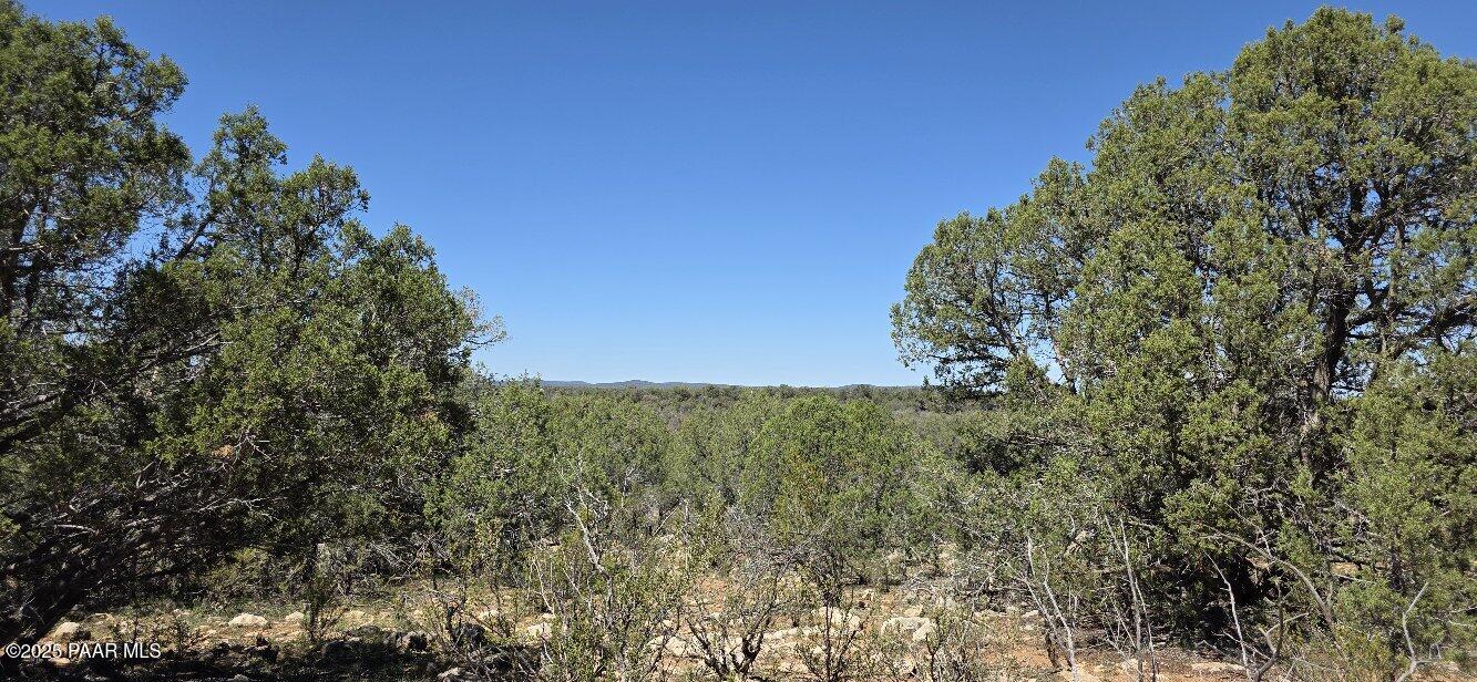 912 Westwood Ranch Williams, AZ 86046 - Photo 3 of 28 a view of a yard with a tree