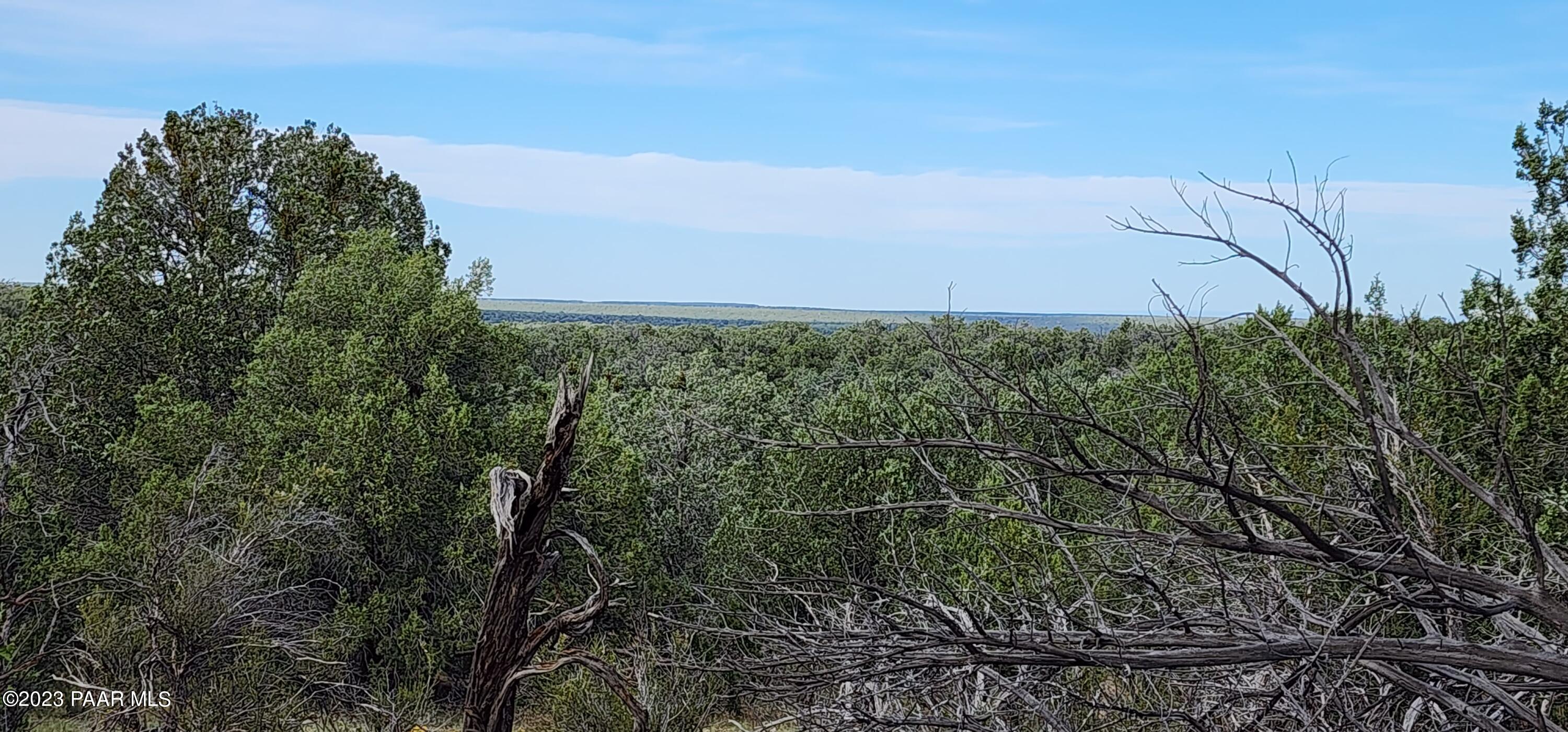 912 Westwood Ranch Williams, AZ 86046 - Photo 5 of 28 a view of a field