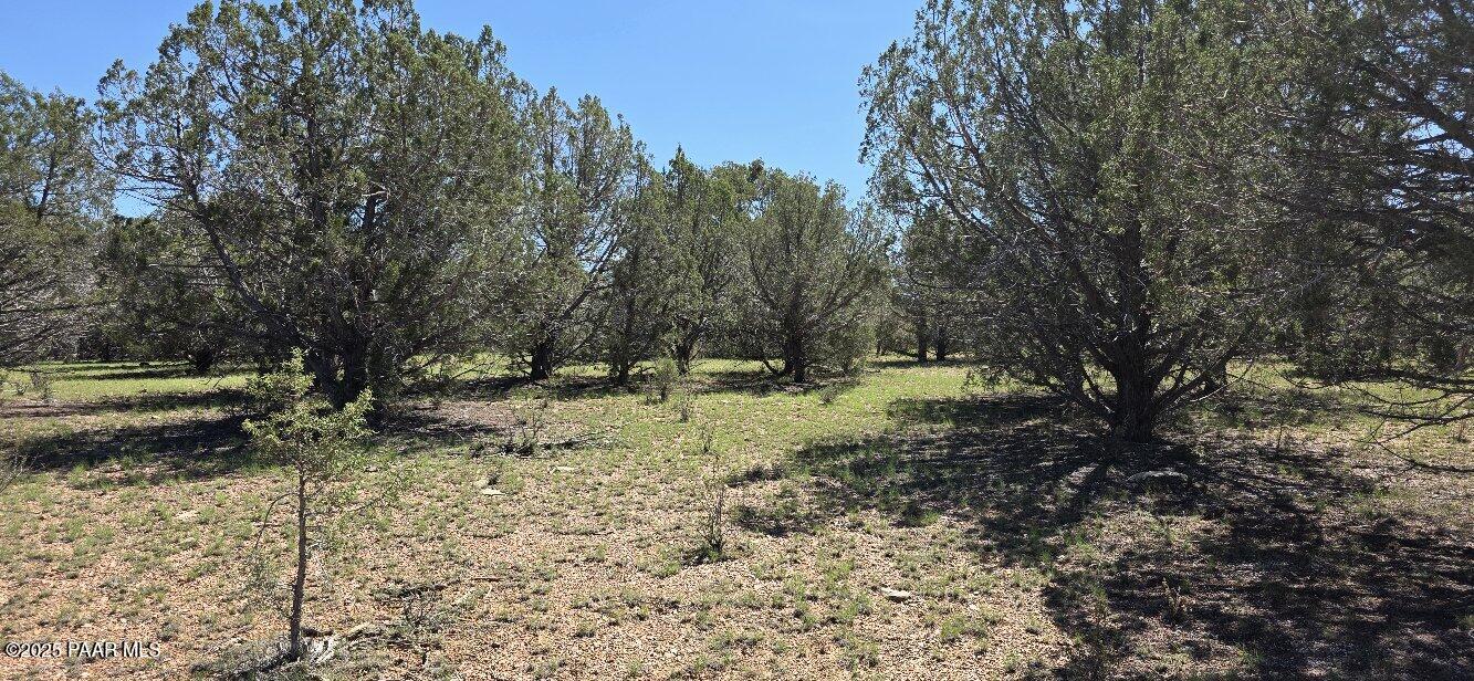 912 Westwood Ranch Williams, AZ 86046 - Photo 7 of 28 a view of a forest with trees