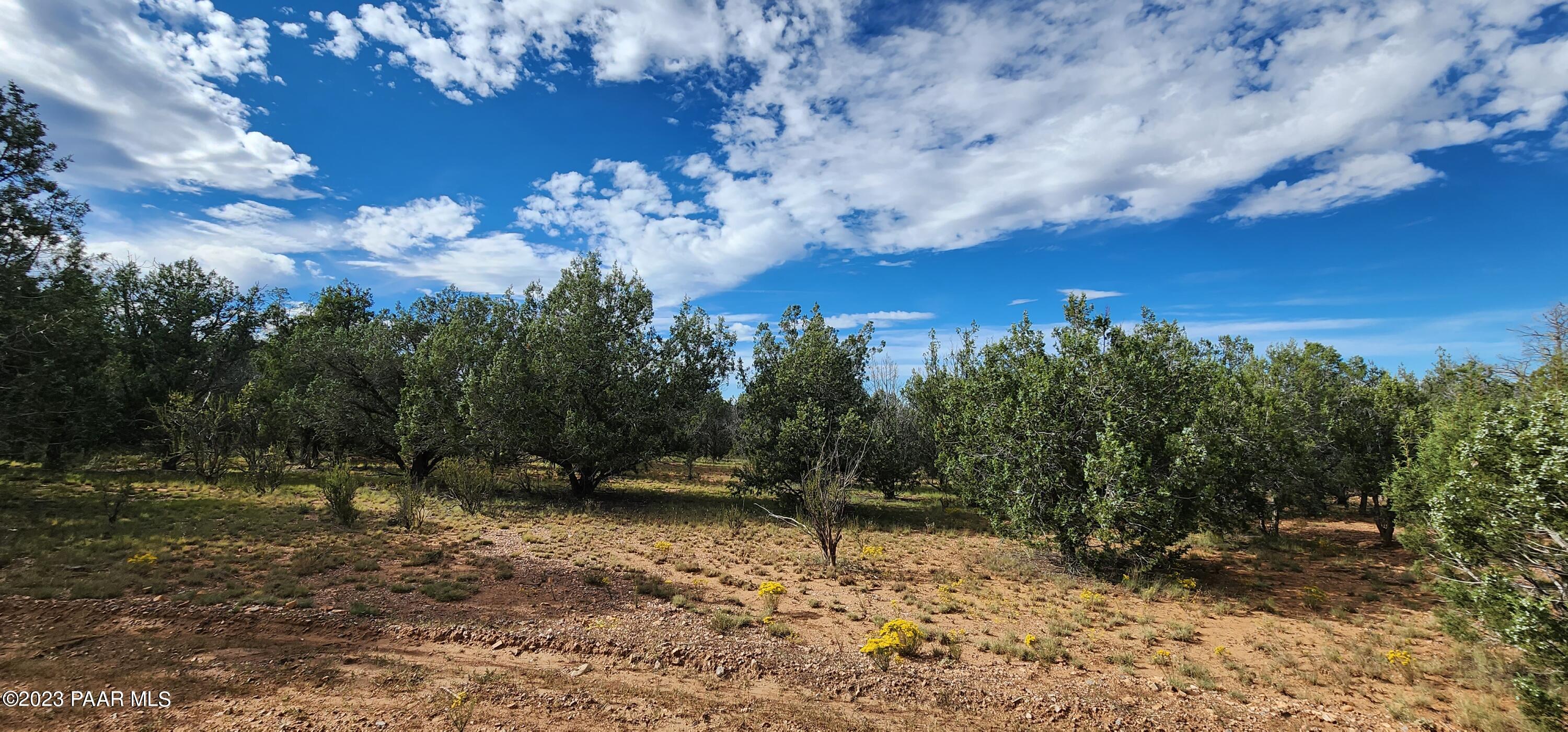 912 Westwood Ranch Williams, AZ 86046 - Photo 8 of 28 a view of a yard with a tree