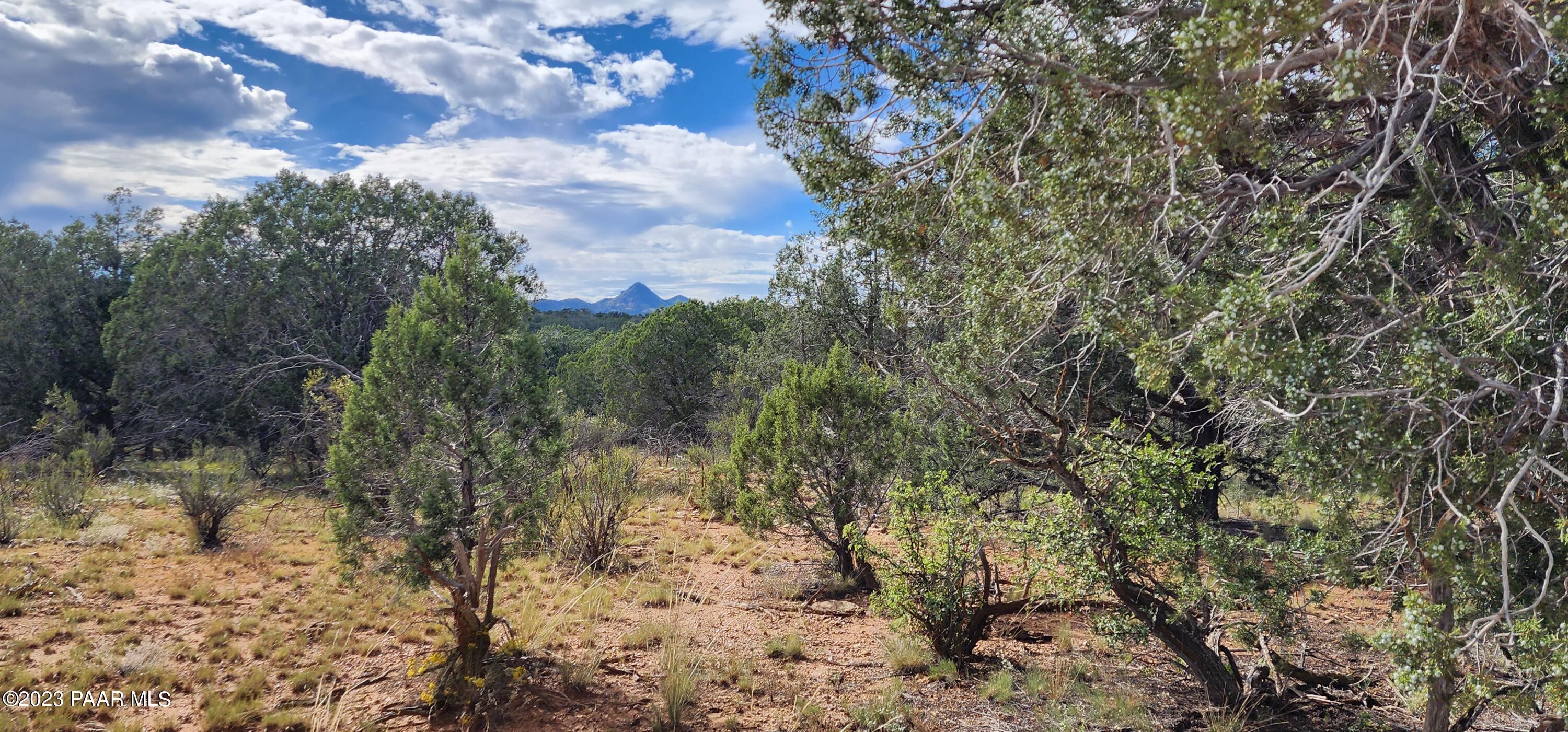 912 Westwood Ranch Williams, AZ 86046 - Photo 10 of 28 a view of a yard with a tree