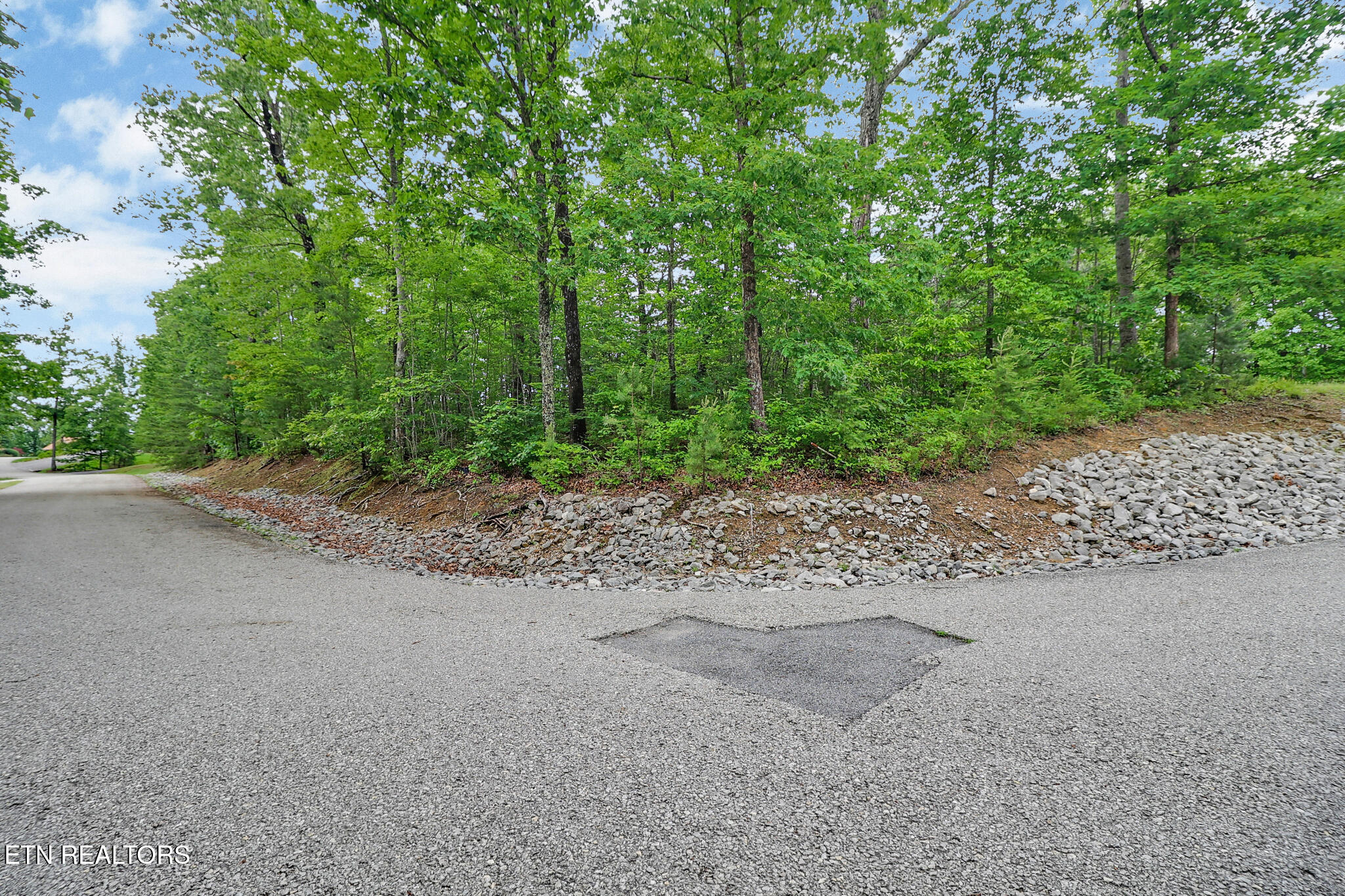 Eagle Bluff Jamestown, TN 38556 - Photo 17 of 37 n44a8528-n44a8532