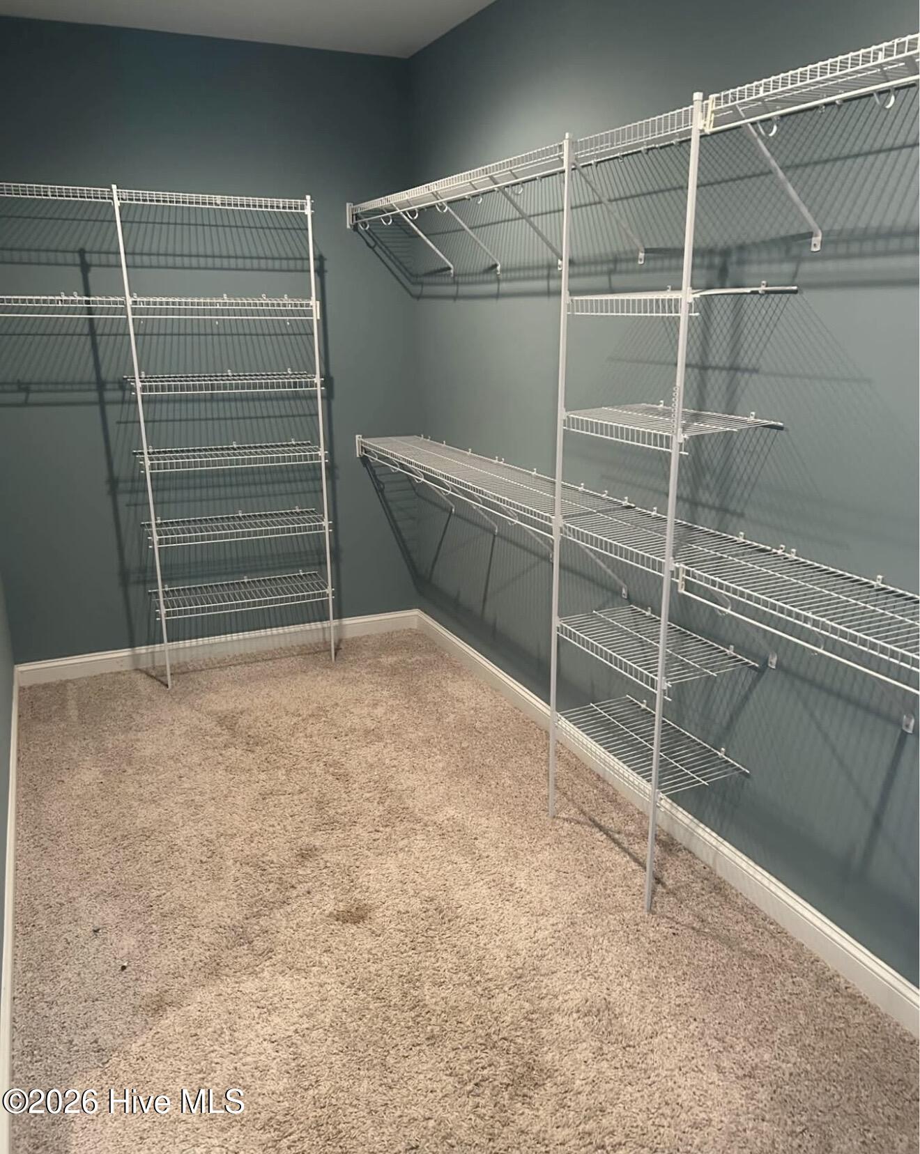 325 Foy Lockamy Road Jacksonville, NC 28540 - Photo 10 of 21 Gallery Image 10