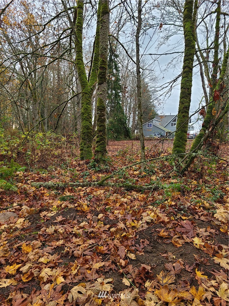 29 View Place Everett, WA 98201 - Photo 2 of 12 a view of a yard with trees