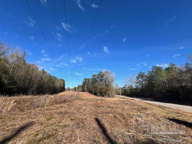 1800-block Pea Ridge Road Brewton, AL 36426 - Photo 1 of 23