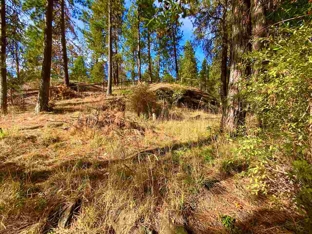 4415 North Center Road Spokane, WA 99212 - Photo 37 of 40 Gallery Image 37