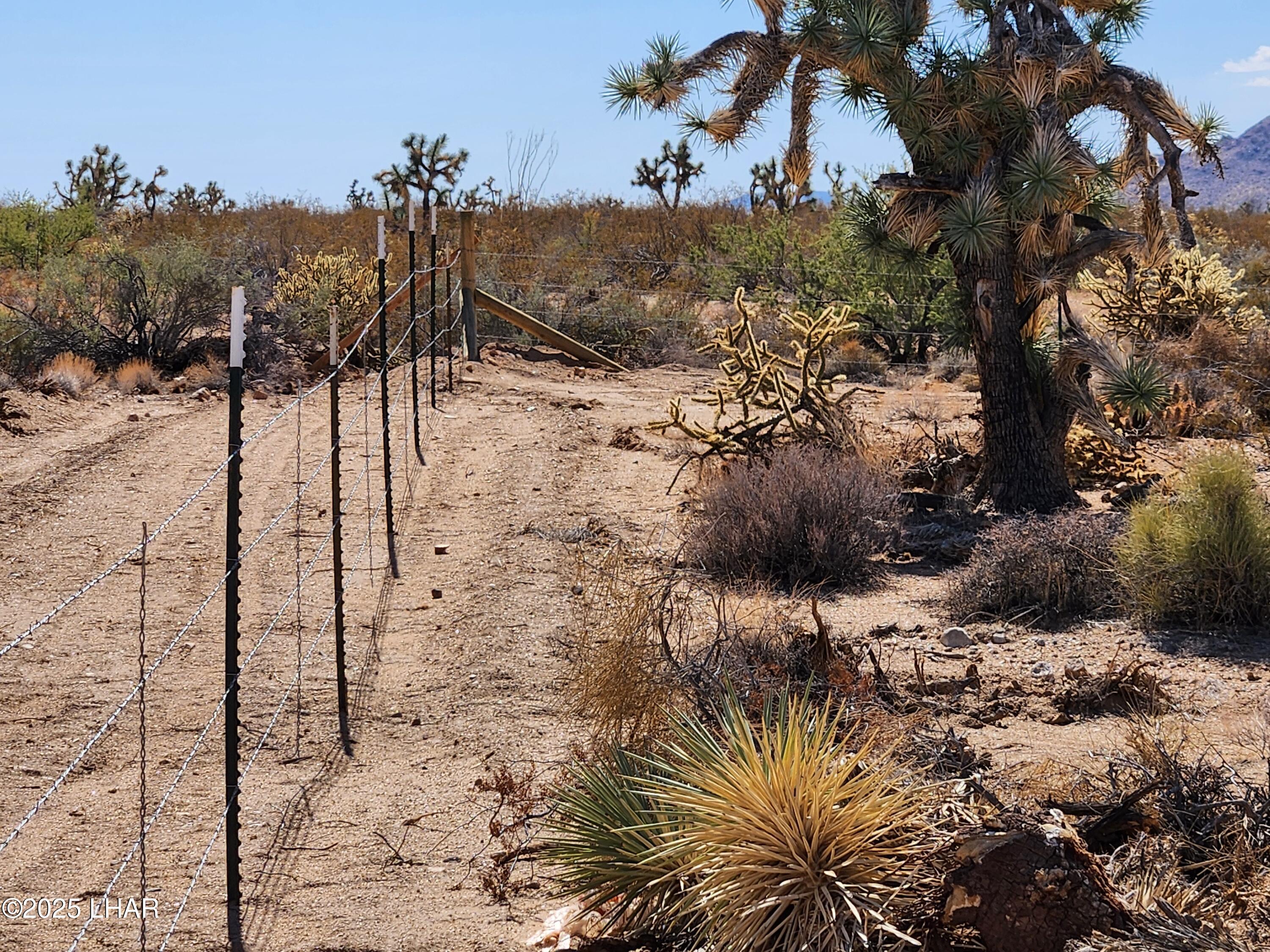 14176 Nash Road Yucca, AZ 86438 - Photo 23 of 34 20251022_121353