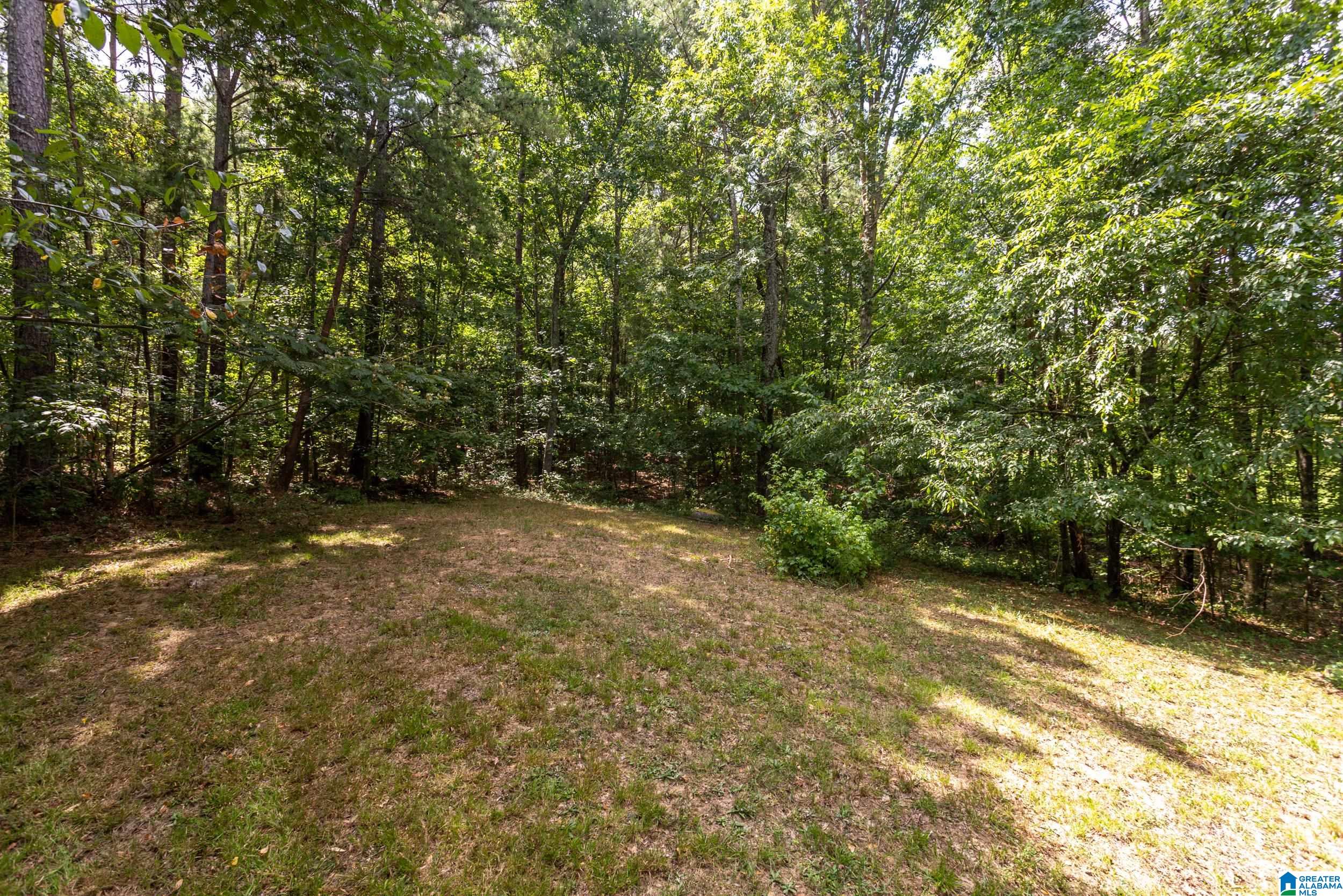 917 Blue Ridge Way Odenville, AL 35120 - Photo 33 of 35 Gallery Image 33