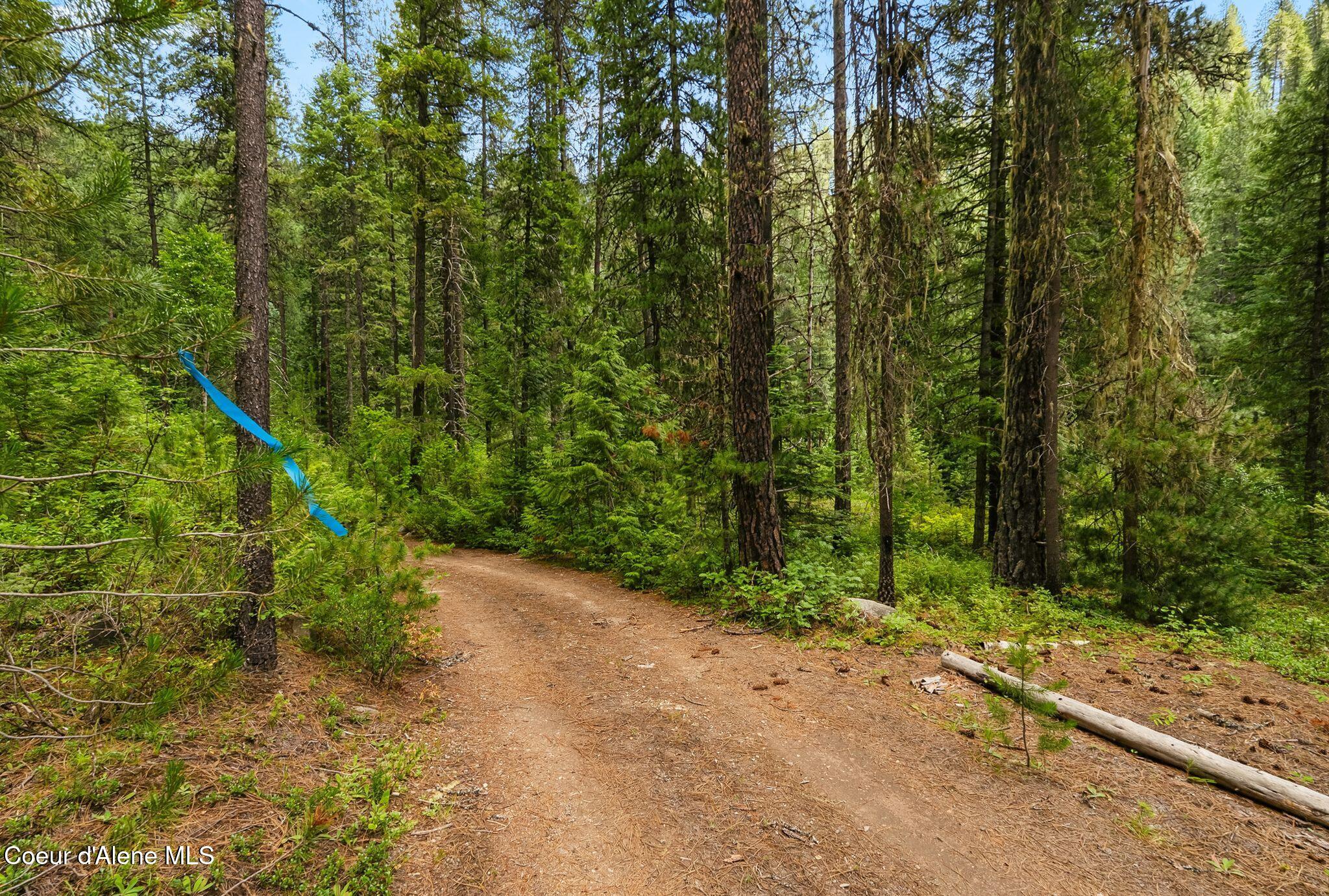 Nna Lantern Lane Sandpoint, ID 83864 - Photo 9 of 29 Great access!