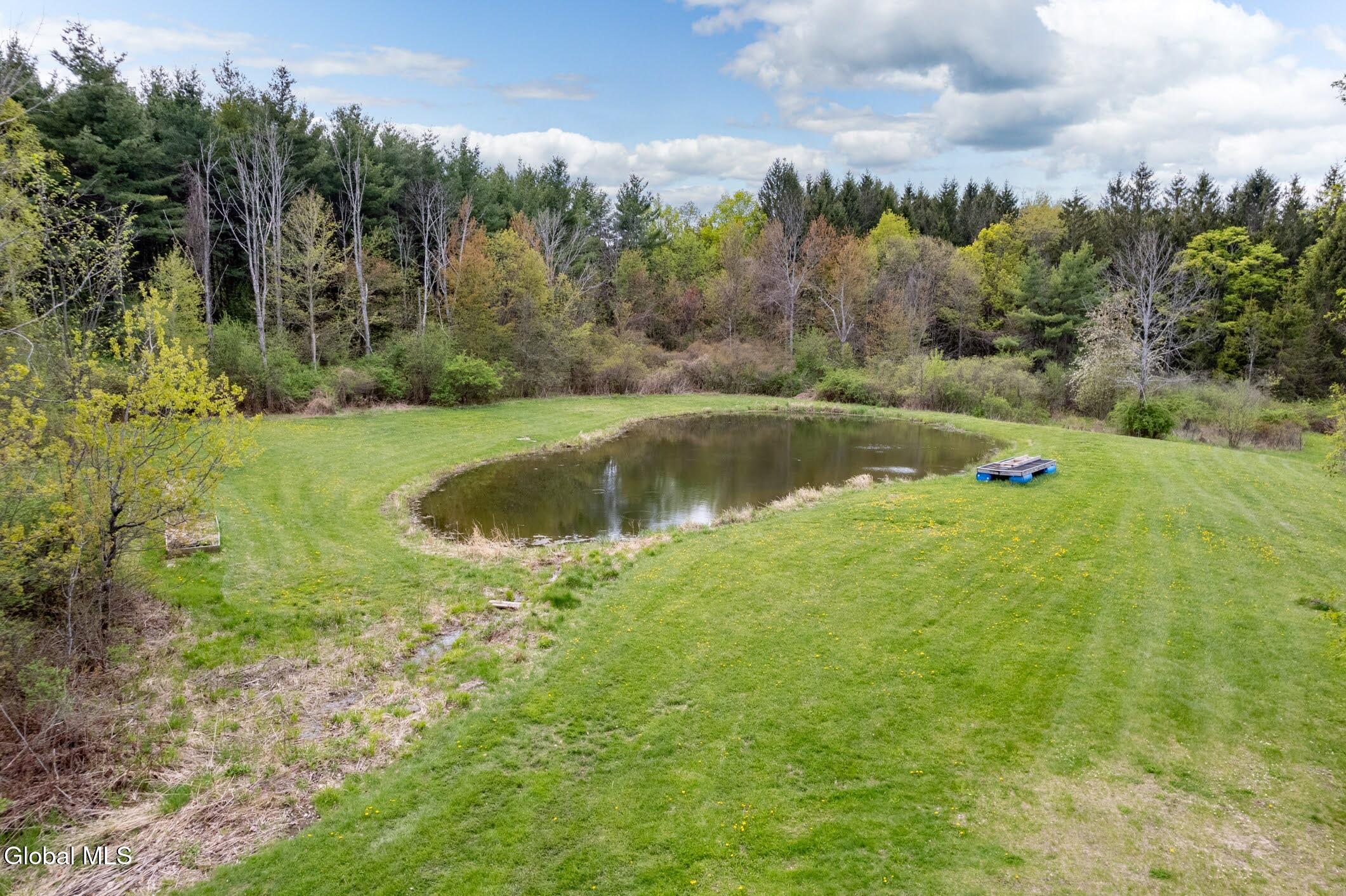 578 North Hillman Road Delanson, NY 12053 - Photo 11 of 26 9- 578 N Hillman