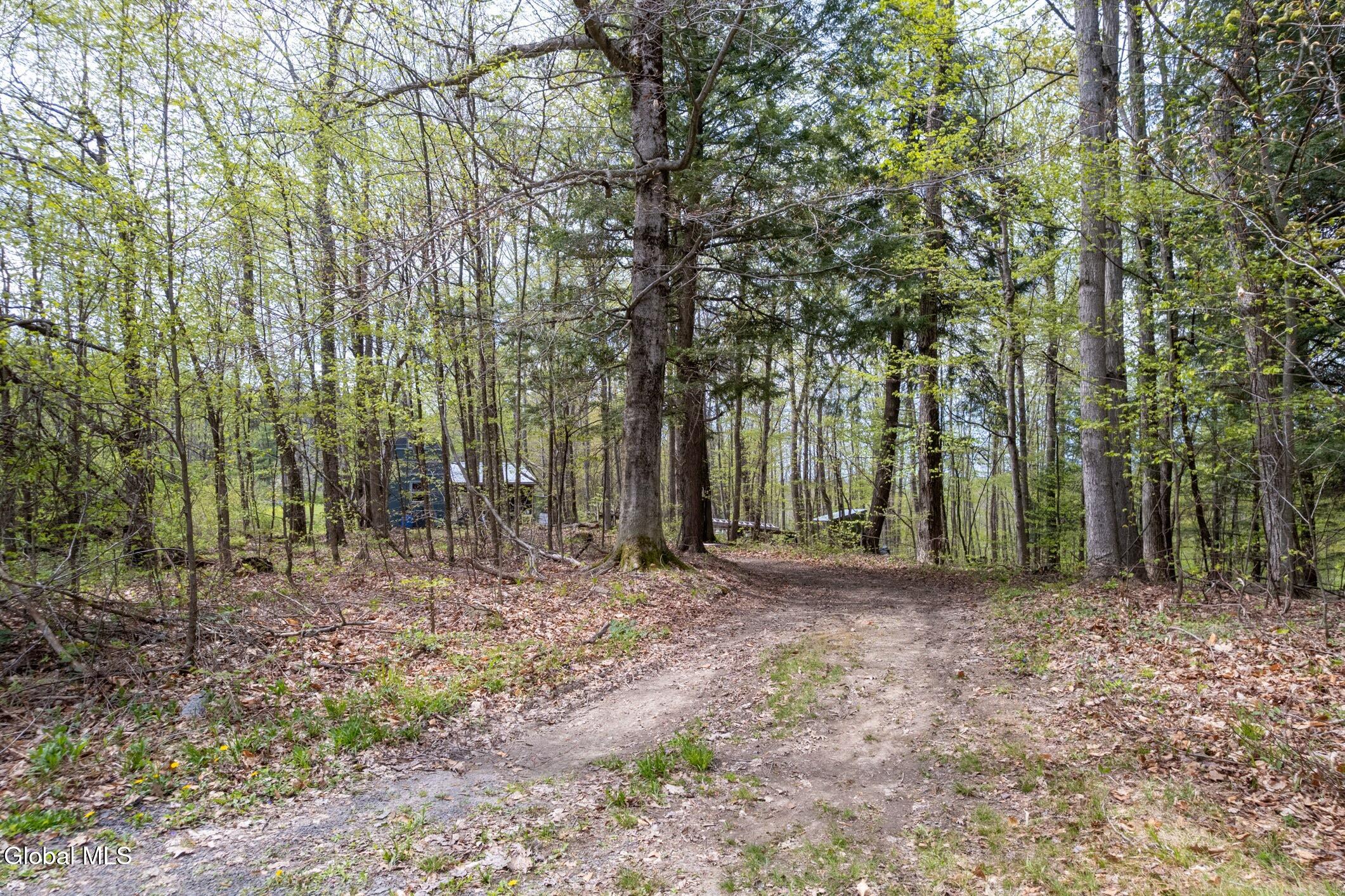 578 North Hillman Road Delanson, NY 12053 - Photo 15 of 26 3- 578 N Hillman