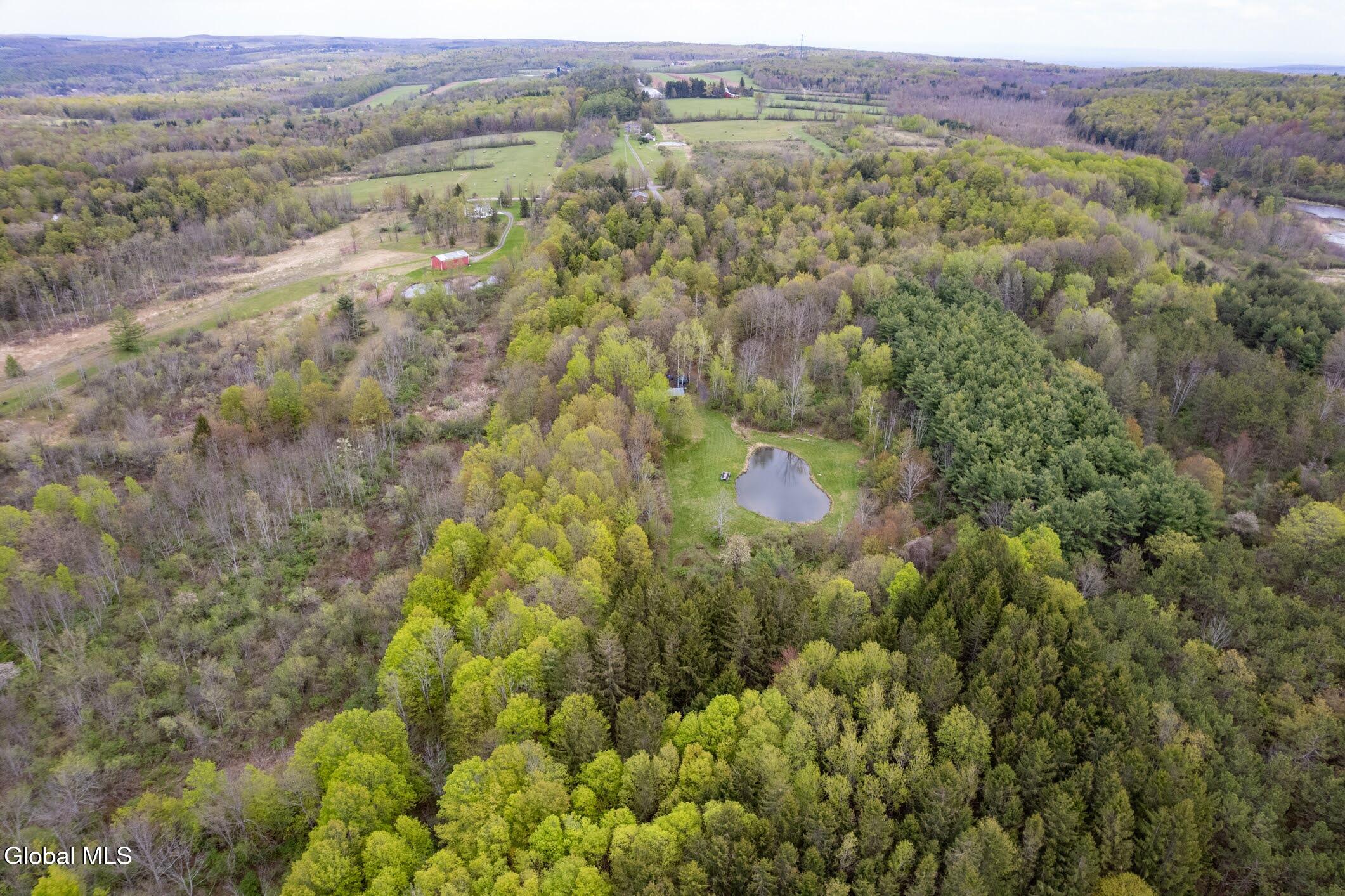 578 North Hillman Road Delanson, NY 12053 - Photo 22 of 26 25- 578 N Hillman