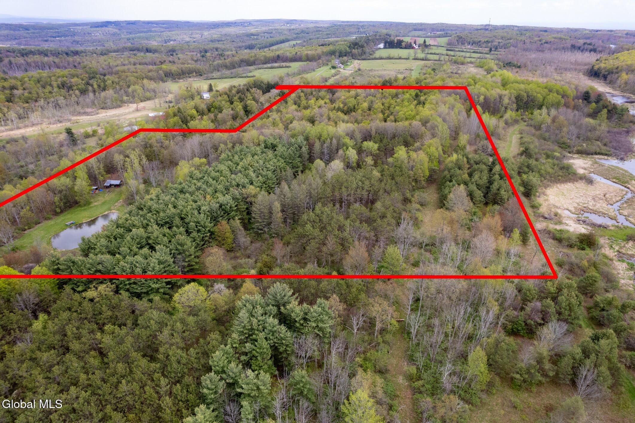 578 North Hillman Road Delanson, NY 12053 - Photo 24 of 26 28- 578 N Hillman