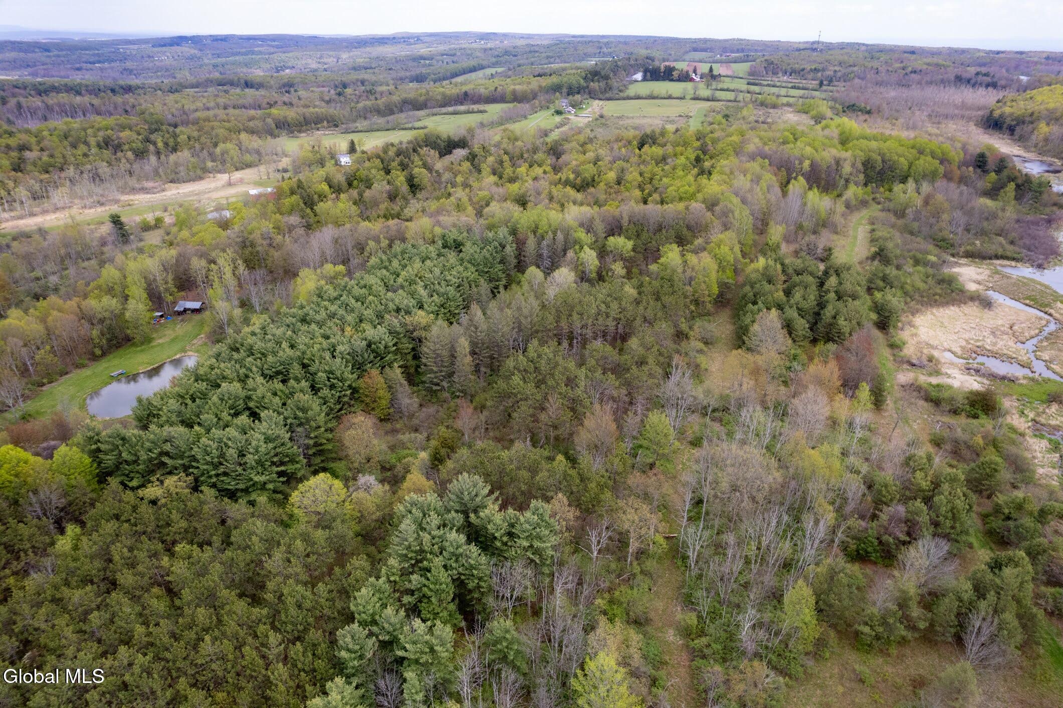 578 North Hillman Road Delanson, NY 12053 - Photo 25 of 26 29- 578 N Hillman