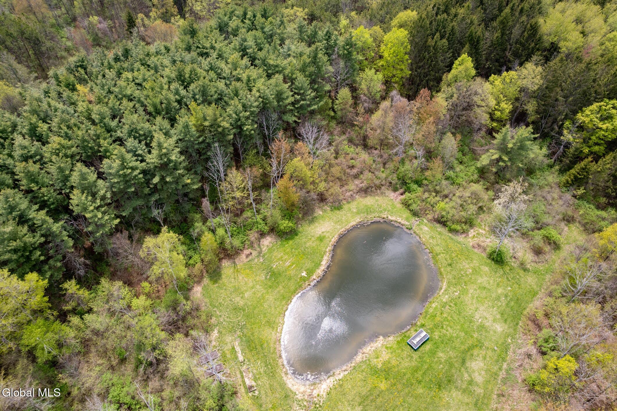 578 North Hillman Road Delanson, NY 12053 - Photo 8 of 26 10- 578 N Hillman