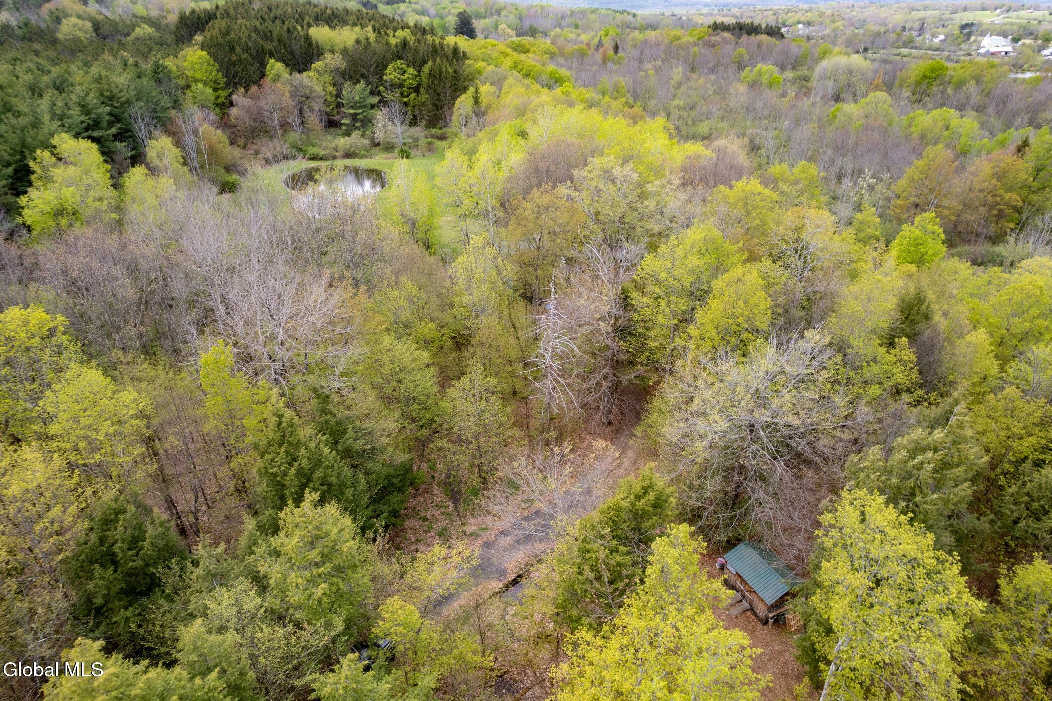 578 North Hillman Road Delanson, NY 12053 - Photo 9 of 26 11- 578 N Hillman