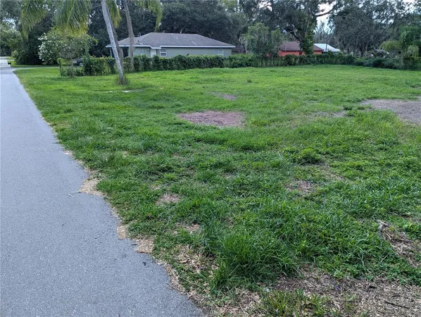 a view of a backyard with plants and trees