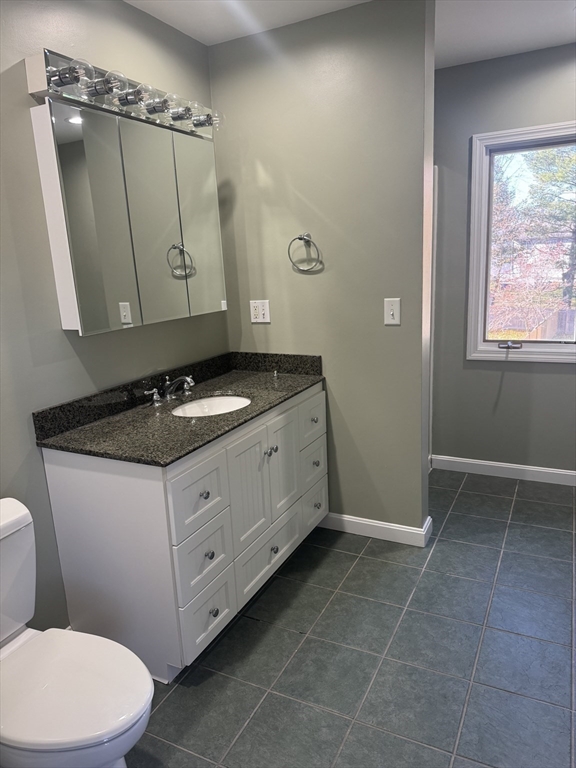 39 Neillian Street, Unit 39 Bedford, MA 01730 - Photo 18 of 29 a bathroom with a granite countertop sink a toilet a mirror and shower