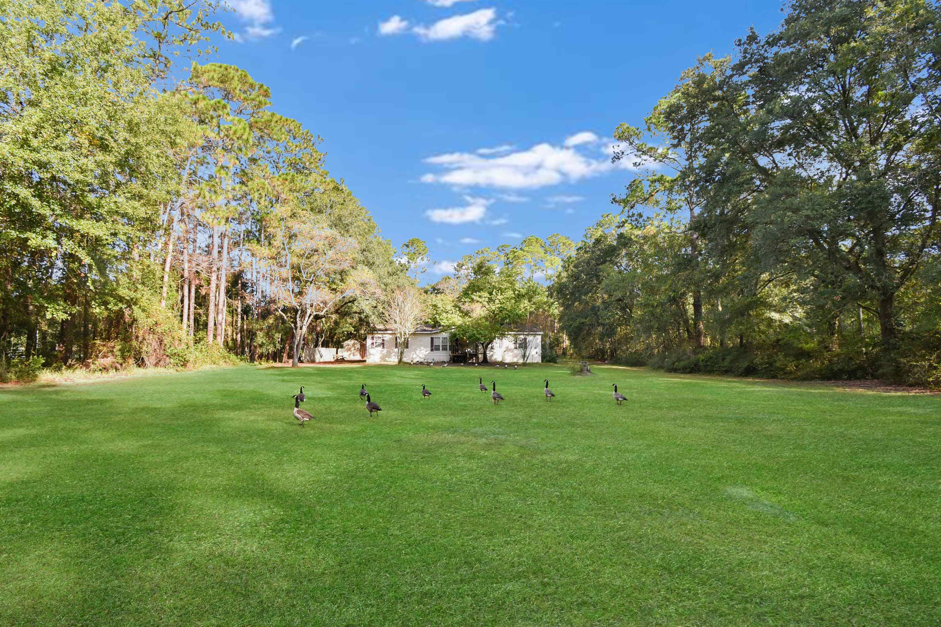 a view of field with trees in the background