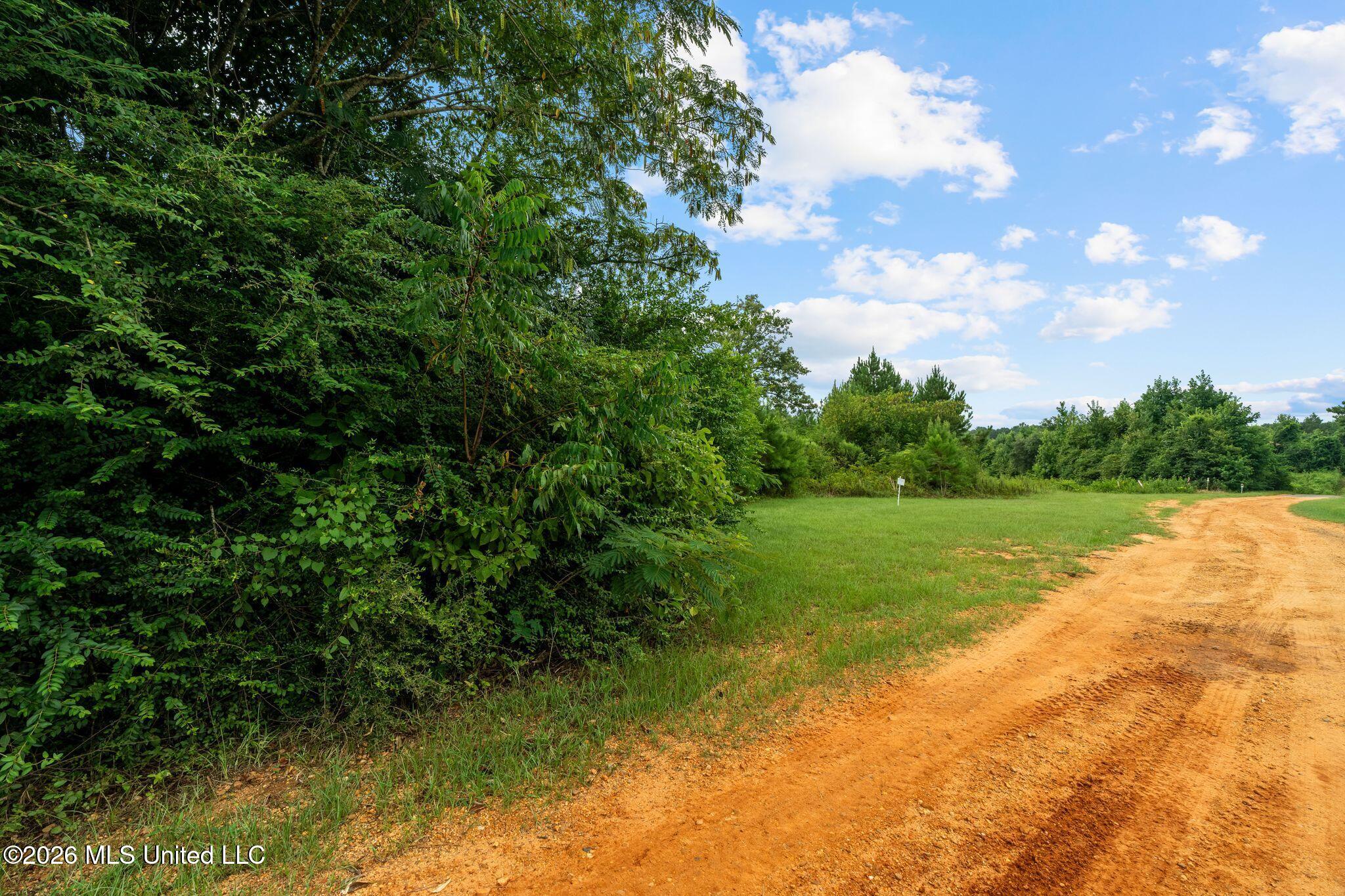 1 Ethel Road Collins, MS 39428 - Photo 13 of 15 52_Ethel_Rd_Lot_1-12