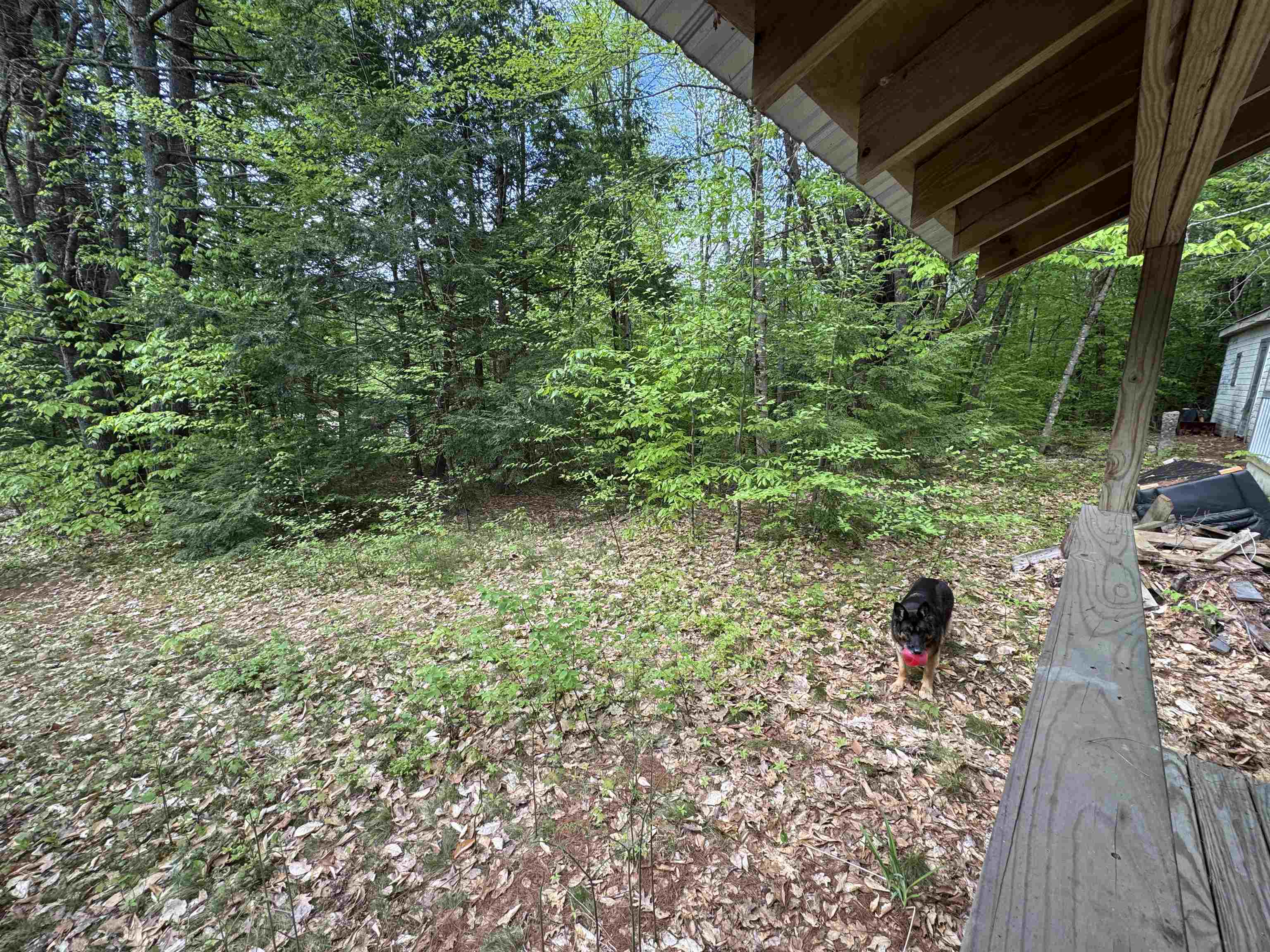 67 Old Pound Road Effingham, NH 03882 - Photo 25 of 47