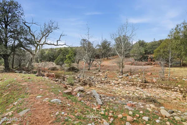 a view of a yard with a tree