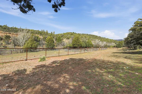 a view of a backyard