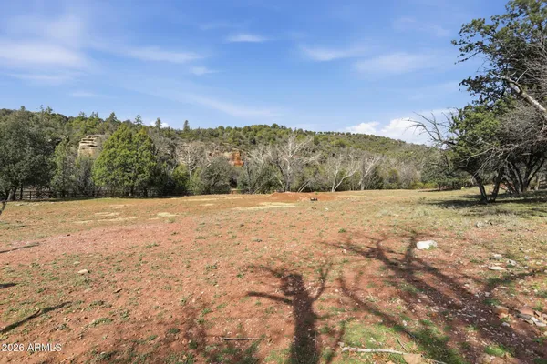 a view of a yard with a tree