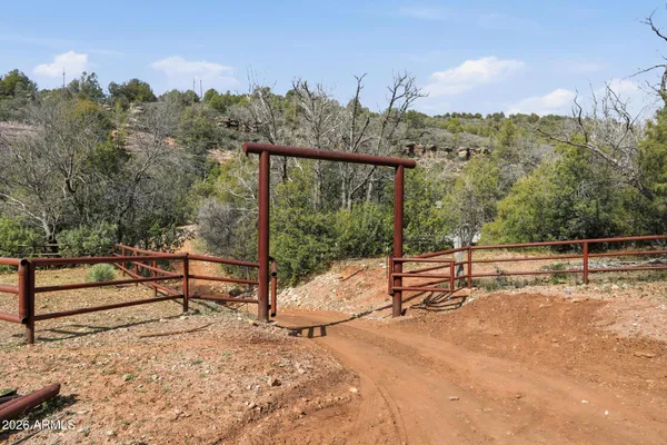 a view of a bench in the middle of a yard