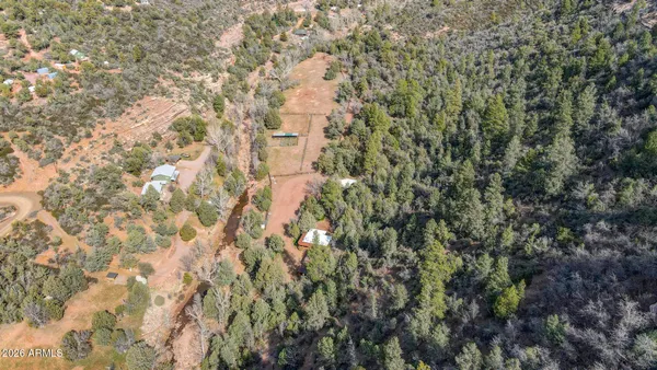 a close up of a plant