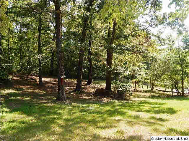 305 Garden Hill Road Gardendale, AL 35071 - Photo 32 of 32