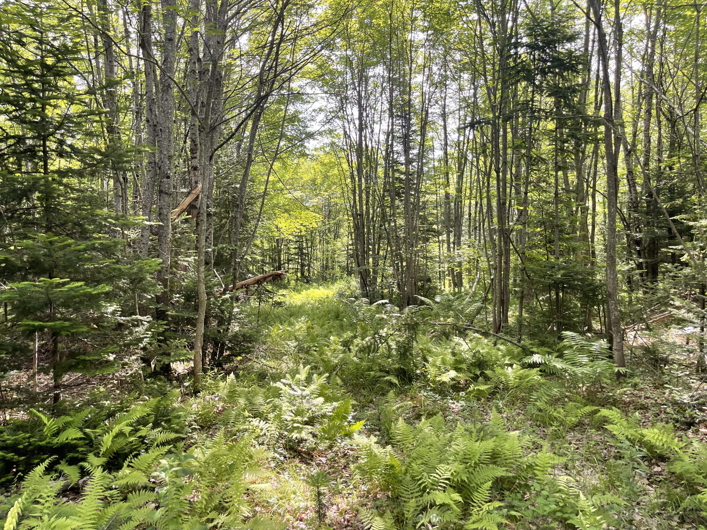 165 4 Mile Square Road Anson, ME 04911 - Photo 17 of 17 IMG_4941