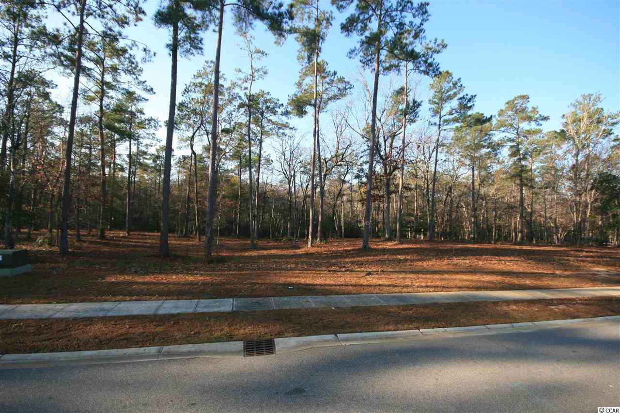 Lot 177 Chamberlin Road Myrtle Beach, SC 29588 - Photo 1 of 12 Gallery Image 1