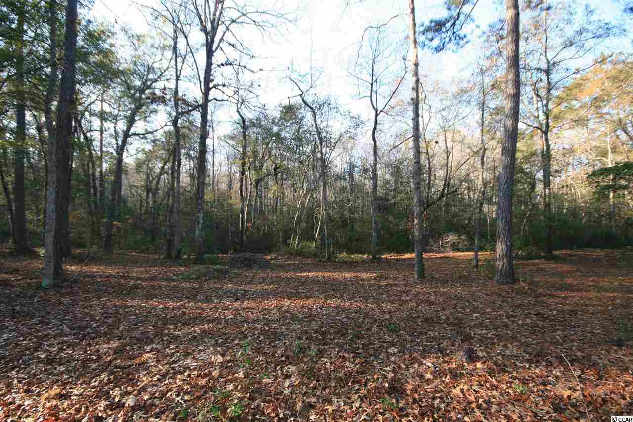 Lot 177 Chamberlin Road Myrtle Beach, SC 29588 - Photo 2 of 12 Gallery Image 2