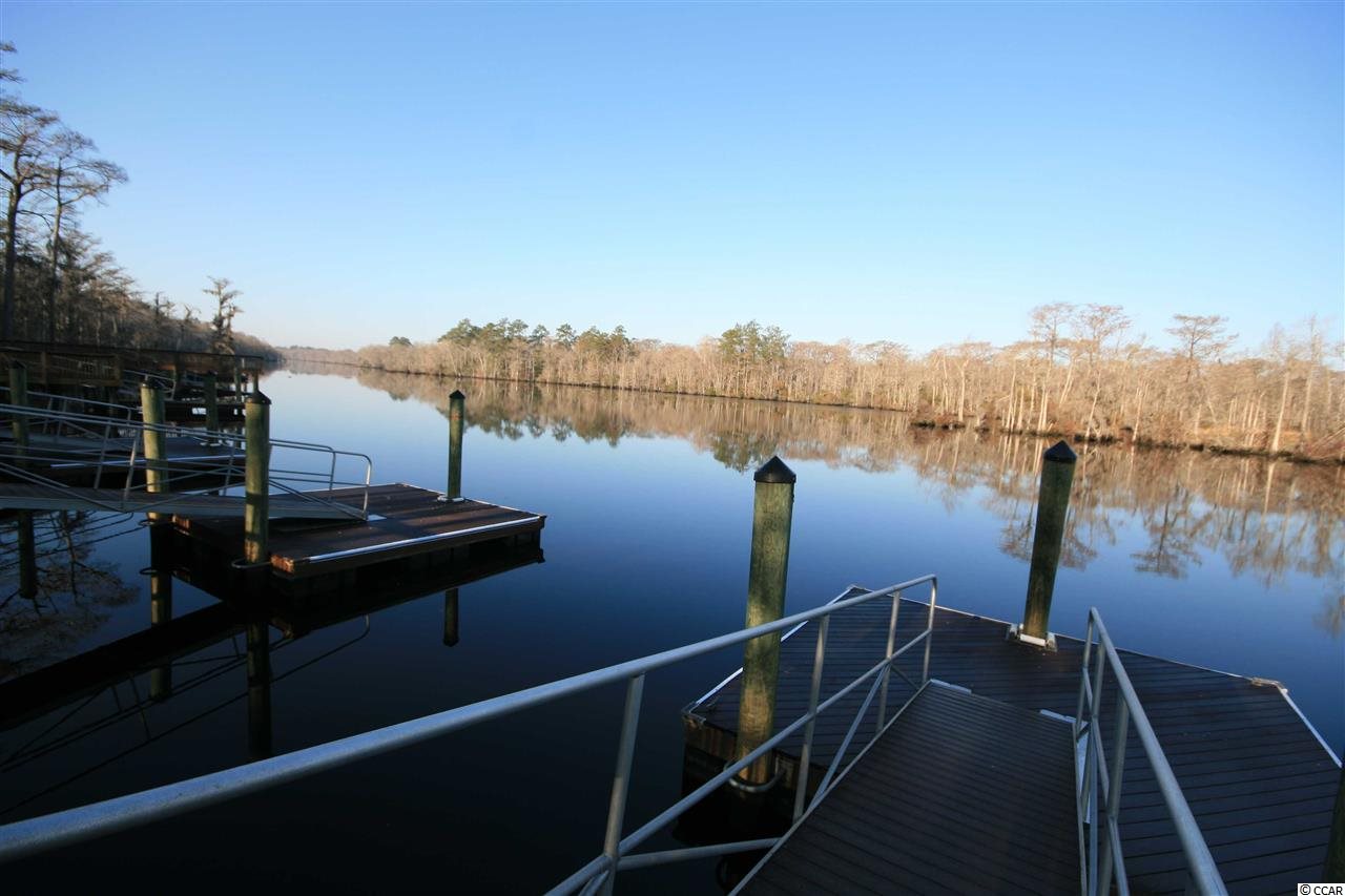 Lot 177 Chamberlin Road Myrtle Beach, SC 29588 - Photo 11 of 12 Gallery Image 11