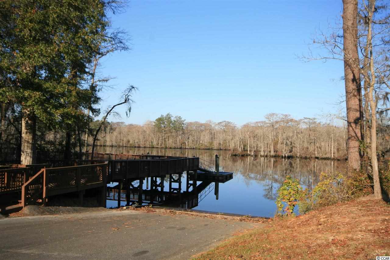Lot 177 Chamberlin Road Myrtle Beach, SC 29588 - Photo 10 of 12 Gallery Image 10