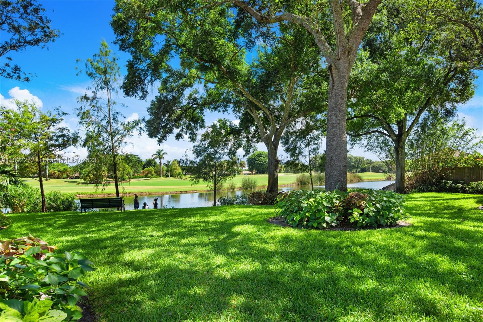 28 Cedar Road Hollywood, FL 33021 - Photo 41 of 43 a view of a garden with a tree