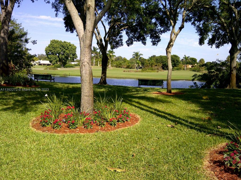 28 Cedar Road Hollywood, FL 33021 - Photo 42 of 43 a view of a garden with a tree