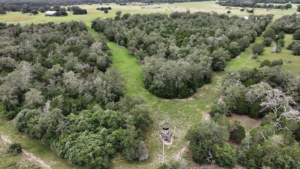 2625 Burke Road Flatonia, TX 78941 - Photo 10 of 19