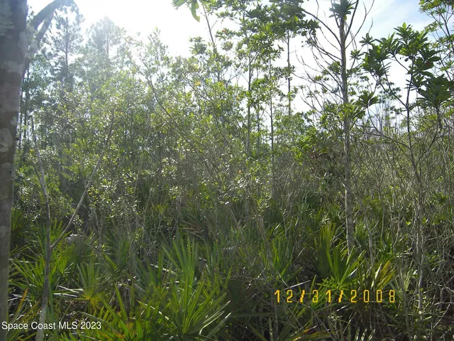 a view of under an umbrella