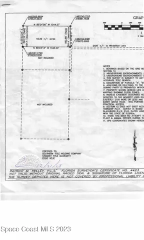 a view of a lush green forest