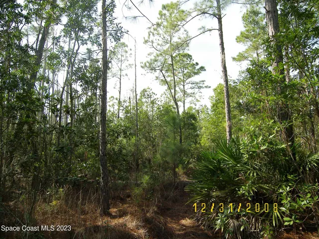 a view of outdoor space and garden