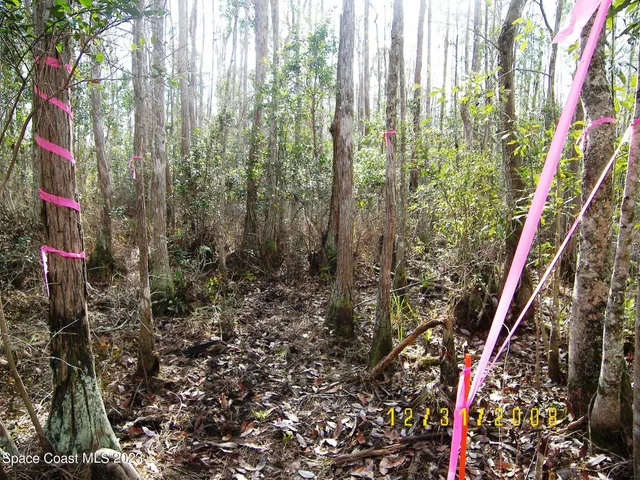 $150,000 | 0 Southfork Ranch Drive, Clermont, FL 34714