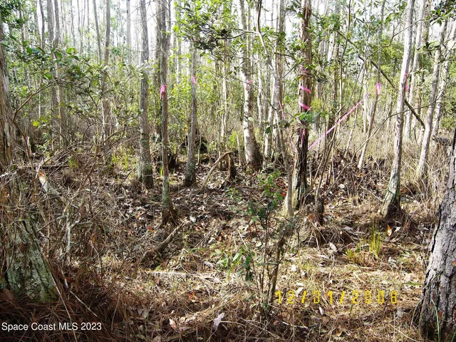 $150,000 | 0 Southfork Ranch Drive, Clermont, FL 34714