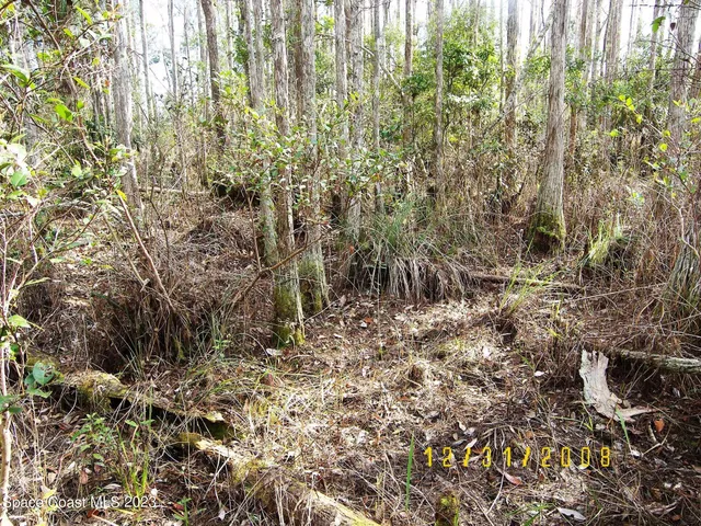 $150,000 | 0 Southfork Ranch Drive, Clermont, FL 34714