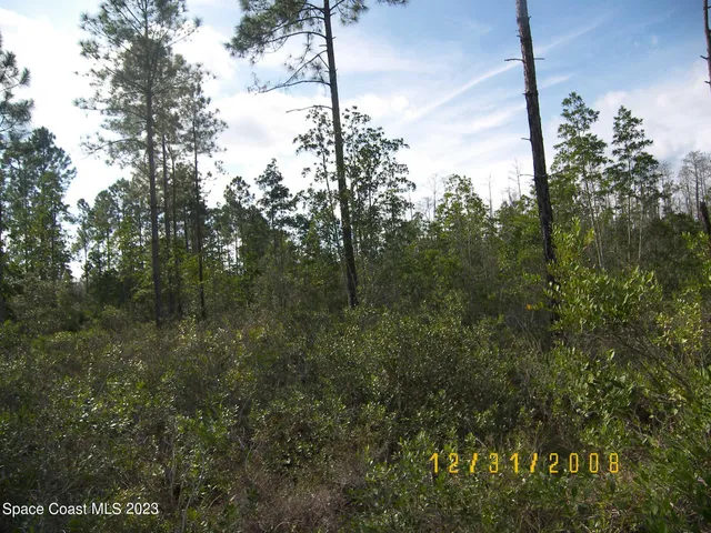 a view of a house with a tree