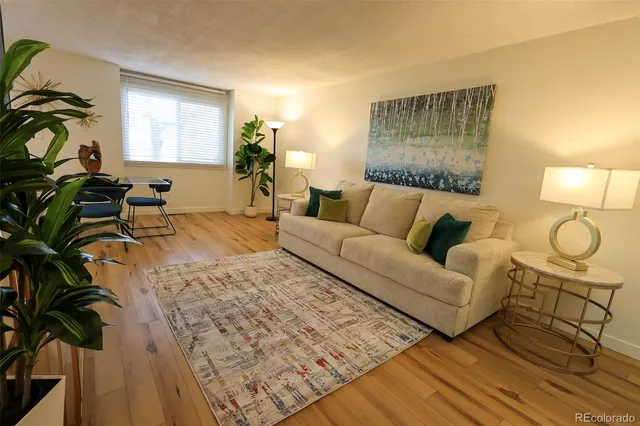 a living room with furniture and a potted plant